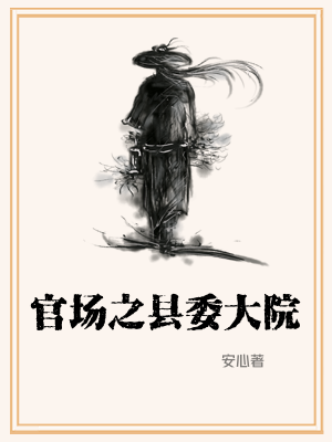 官场之县委大院